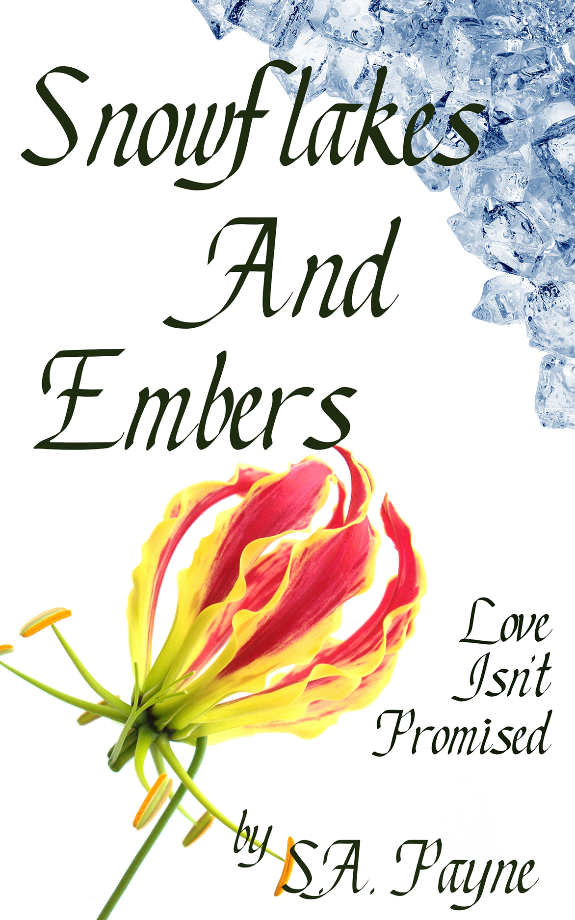 Snowflakes & Embers by S.A. Payne